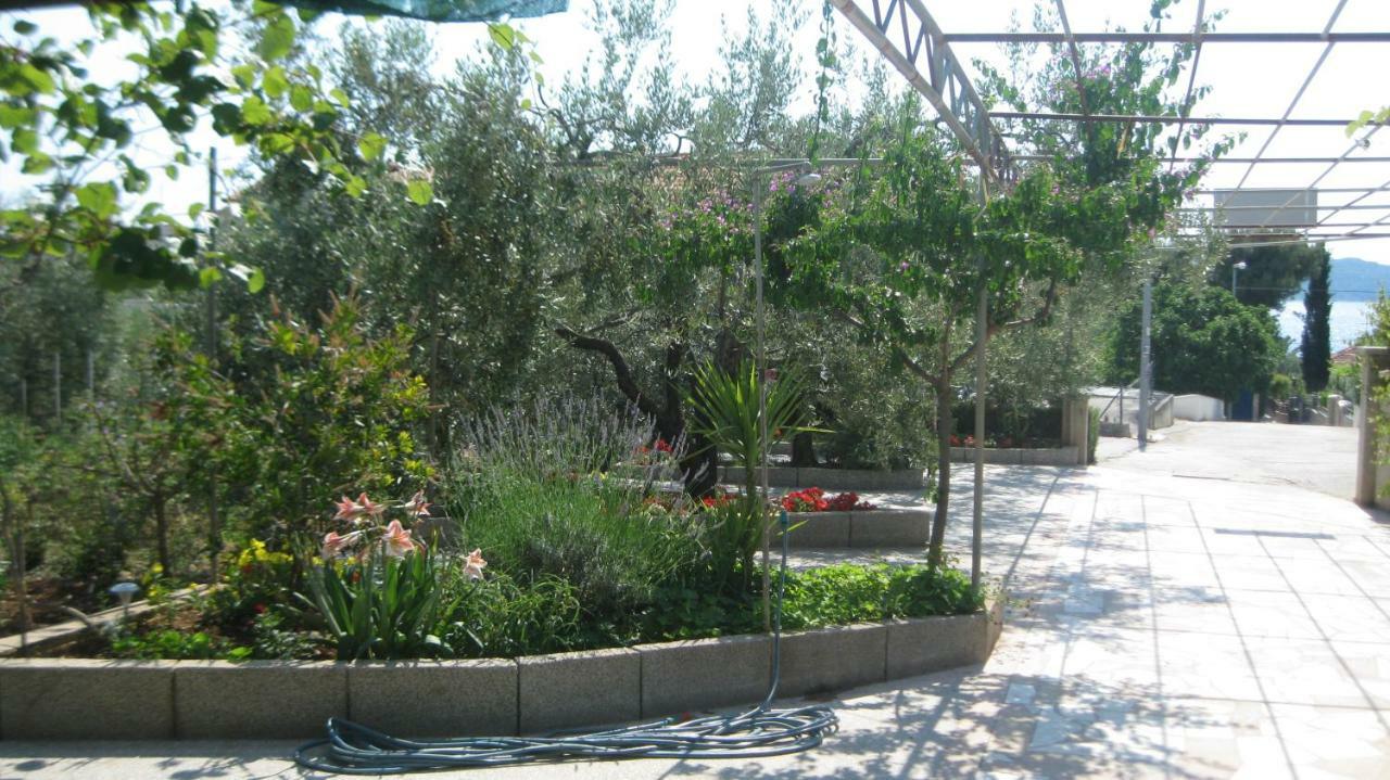 Apartments Maslina Trogir Extérieur photo